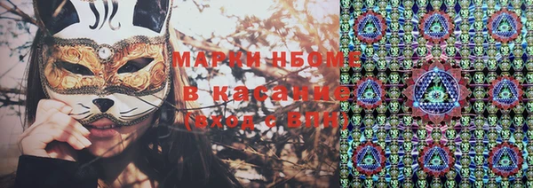стаф Алзамай