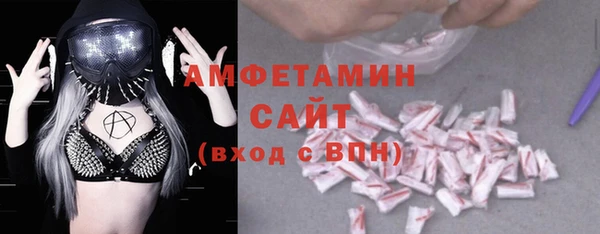 стаф Алзамай