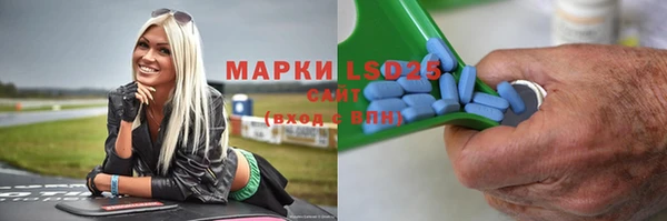 стаф Алзамай