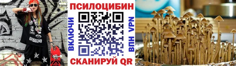 дарнет шоп  Железногорск  Галлюциногенные грибы прущие грибы 